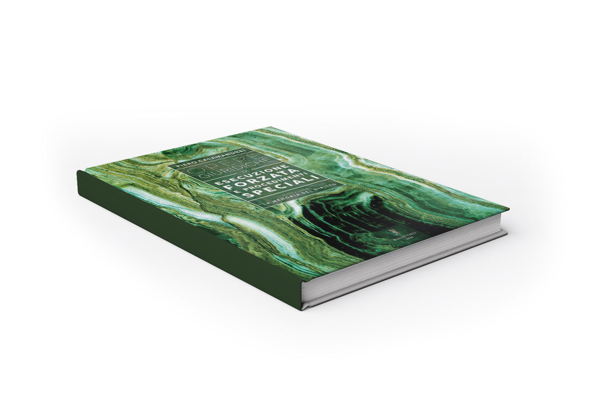 Opere giuridiche – Volume IX – Esecuzione forzata e procedimenti speciali Opere giuridiche – Volume IX – Esecuzione forzata e procedimenti speciali